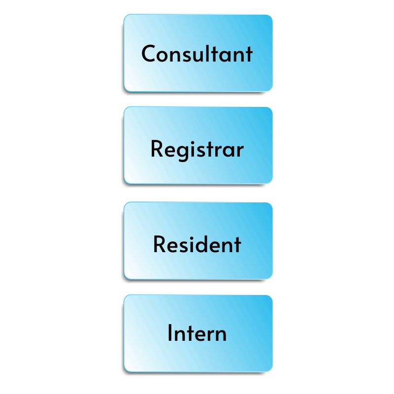 doctor hierarchy