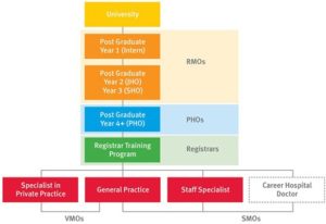 qld health doctor hierarchy