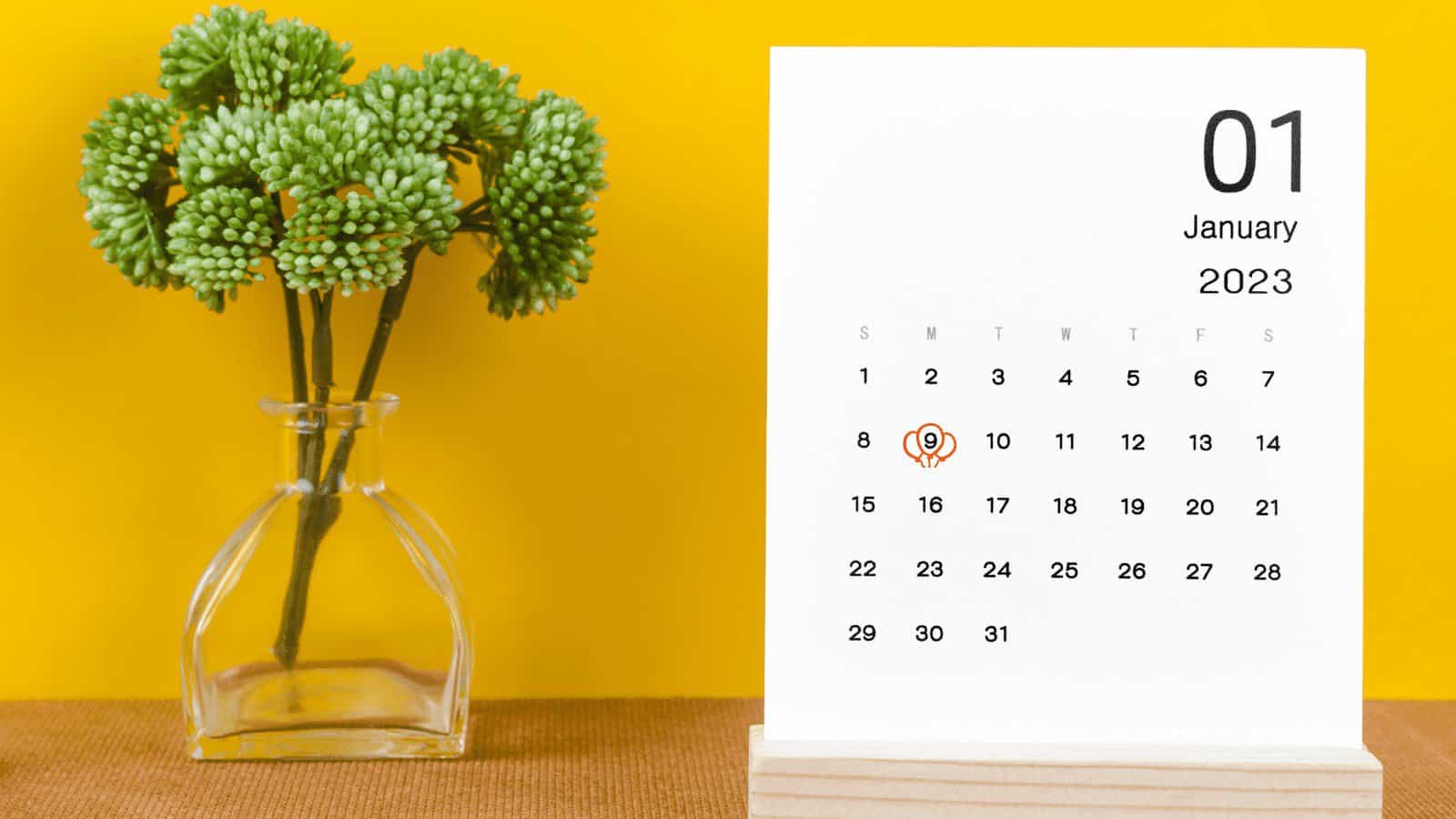 When Do I Start? Australian Trainee Doctor Term Dates for 2023