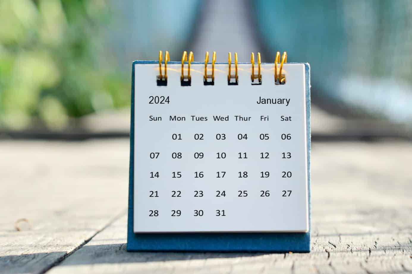 Australian Trainee Doctor Term Dates 2024